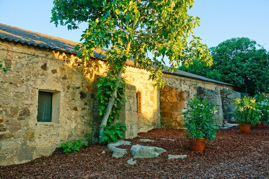 Casa Rural Castillo De Caces 외부 사진