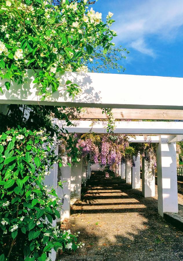Casa Rural Castillo De Caces 외부 사진